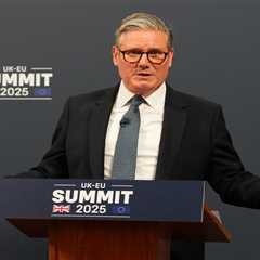 Starmer's Brexit Deal: Unravelling Complex Consequences of EU Relations