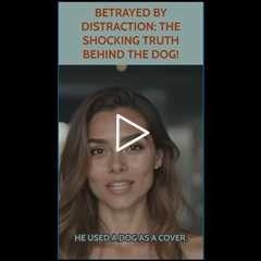 The Dog Was Just a Distraction… #shorts