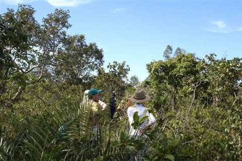 World’s Most Diverse Savanna Dominated by Just 30 Tree Species: Study