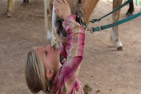 The Exciting World of Horse Shows in Currituck County, North Carolina