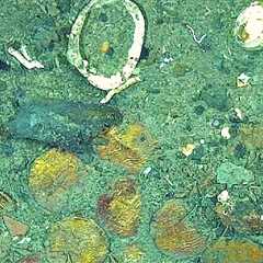 New Images From ‘Non-Invasive’ Study Show Golden Treasure From San Jose Galleon, the ‘Holy Grail’..