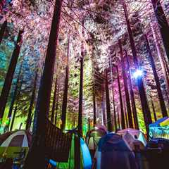 The Ultimate Guide to Food and Drink at Music Festivals in Ada County, Idaho