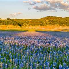 Exploring the Unique Celebrations of Seasons in West Central Texas