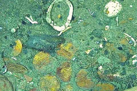 New Images From ‘Non-Invasive’ Study Show Golden Treasure From San Jose Galleon, the ‘Holy Grail’..