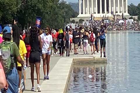 The Dynamic Relationship Between Police and Local Government in Central Maryland: An Expert's..