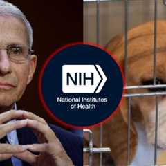 Eleven Republican Members of Congress Demand NIH End Fauci’s ‘Barbaric’ Animal Tests as Agency..