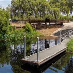 Exploring the Great Outdoors: Community Events in Lake County, Florida