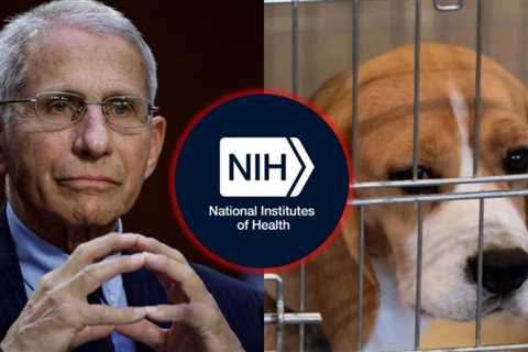 Eleven Republican Members of Congress Demand NIH End Fauci’s ‘Barbaric’ Animal Tests as Agency..