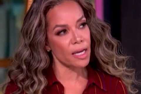 Sunny Hostin of ‘The View’ Says ICE Deserves Coming ‘Reckoning’ as Agents Are Being Attacked by..