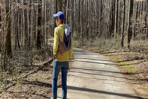 The Politics of Environmental Issues in North Central Georgia