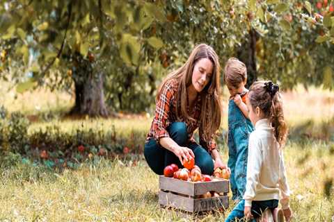 Uncovering the Hidden Beauty of Southwestern Michigan: A Guide to Must-See Events