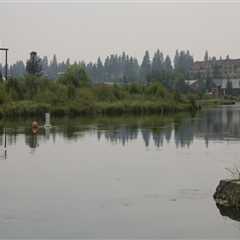 The Impact of Political Parties on the Political Landscape of Deschutes County, Oregon
