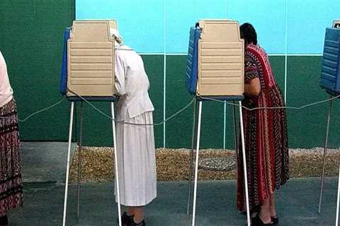 The Impact of Political Campaigns on Voter Turnout in Central Virginia: An Expert's Perspective