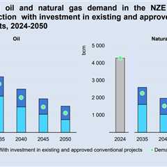 IEA says some oil and gas projects must shut early to meet 1.5C limit