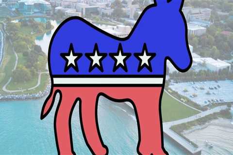Navigating Political Party Disagreements in Fayette County, Georgia: An Expert's Perspective