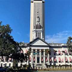 The Vibrant Political Scene of Central Florida
