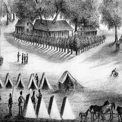 The Political Journey of Central Florida
