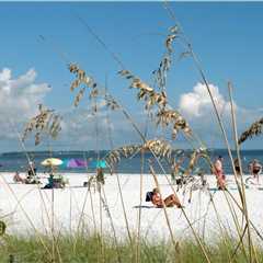 The Vital Role of County Commission in Bay County, Florida