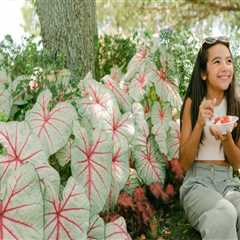 The Rise of Eco-Friendly Festivities in Southeast Florida