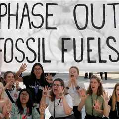 Revealed: Only a third of national climate pledges support ‘transition away from fossil fuels’