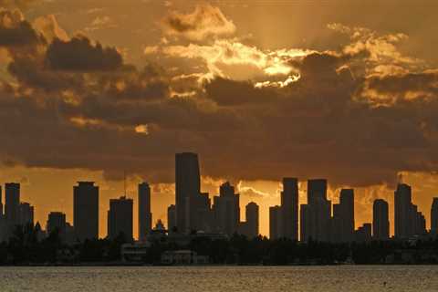 Promoting Transparency and Accountability in Public Policies in Orange County, Florida