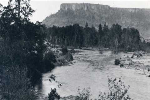 The Progressive Landscape of Western Oregon