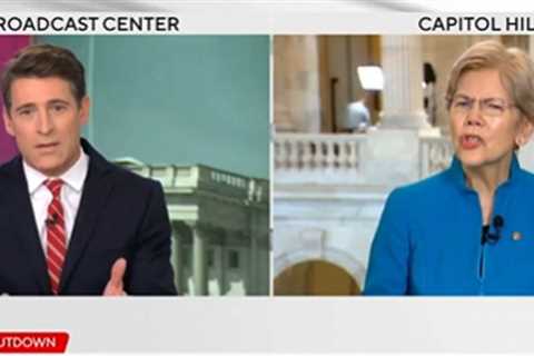 Elizabeth Warren Loses Her Mind When Journalist Notes That Democrats Actually Do Want Healthcare..