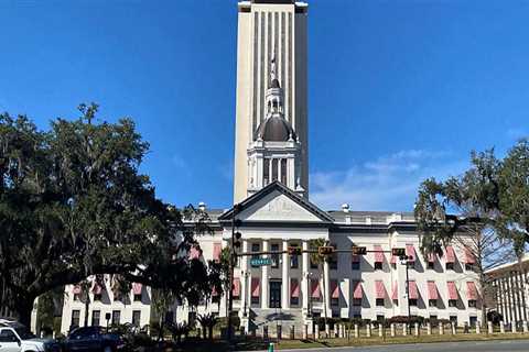 The Vibrant Political Scene of Central Florida