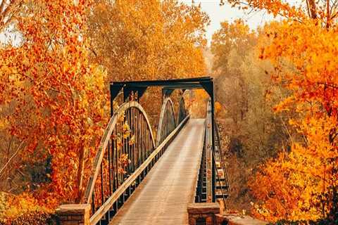 The Ultimate Guide to Outdoor Celebrations in Central Kentucky