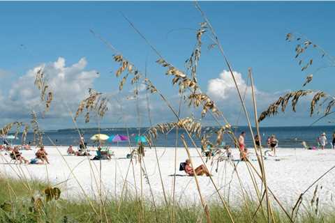 The Vital Role of County Commission in Bay County, Florida