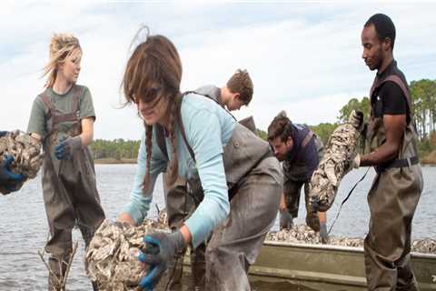 The Environmental Challenges Shaping Politics in Northwest Florida