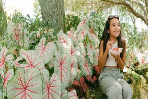 The Rise of Eco-Friendly Festivities in Southeast Florida