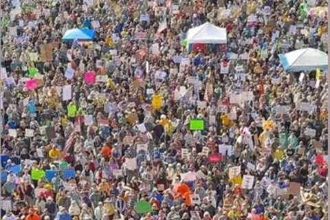 No Kings Rally — Update from Boise, Idaho