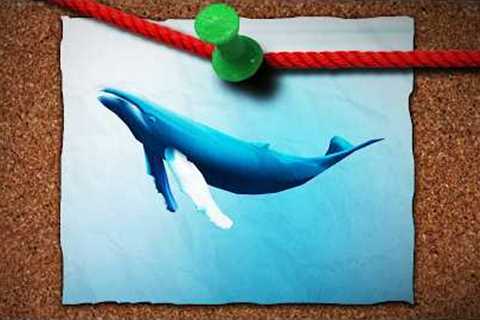 The future of climate denial