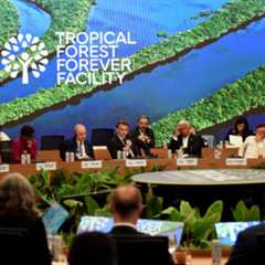 Let’s tax luxury air travel to fund climate adaptation and loss and damage