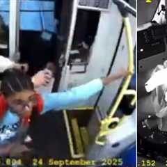Harrowing Footage: Chaos Erupts in California Train Car as Operator Appears to Fall Asleep at High..