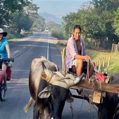 Maximizing Your Reach: Becoming a Vendor or Sponsor at the Bike Festivals in Leon County, Florida