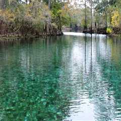 The Ultimate Guide to Volunteering at Bike Festivals in Leon County, Florida