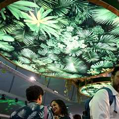 COP30 Bulletin Day 10: UN chief backs call to triple adaptation finance