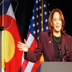 The Impact of National Figures' Endorsements on Democratic Campaigns in Northern Virginia