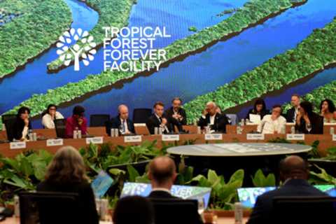 Let’s tax luxury air travel to fund climate adaptation and loss and damage