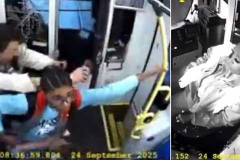 Harrowing Footage: Chaos Erupts in California Train Car as Operator Appears to Fall Asleep at High..