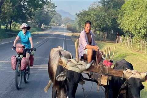 Maximizing Your Reach: Becoming a Vendor or Sponsor at the Bike Festivals in Leon County, Florida
