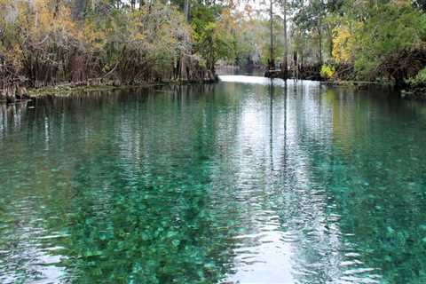 The Ultimate Guide to Volunteering at Bike Festivals in Leon County, Florida
