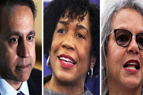 The Unique Aspects of Political Campaigns in Northeastern Illinois: Insights from a Political..