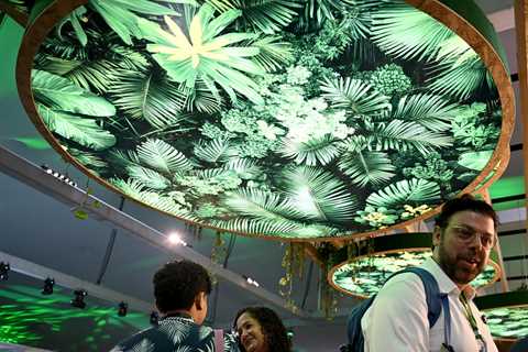 COP30 Bulletin Day 10: UN chief backs call to triple adaptation finance