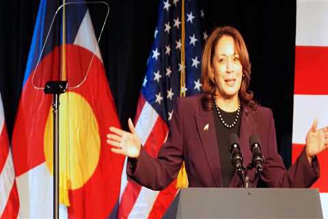 The Impact of National Figures' Endorsements on Democratic Campaigns in Northern Virginia