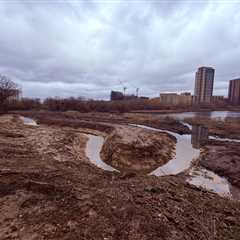 Cropped 17 December 2025: ‘Deadly’ Asia floods; Boosting London’s water birds; UN headwinds