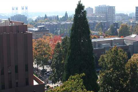 The Process of Reporting a Crime in Clark County, Washington