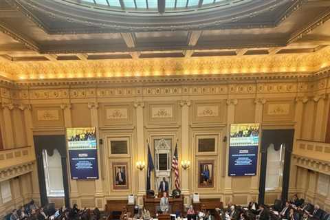 Engaging with Voters and Communities: A Closer Look at Campaign Candidates in Northern Virginia